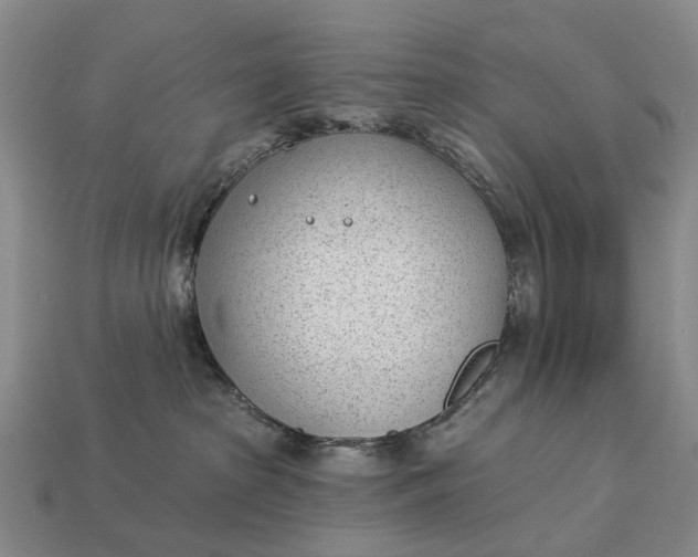 X0000112980285200909101721