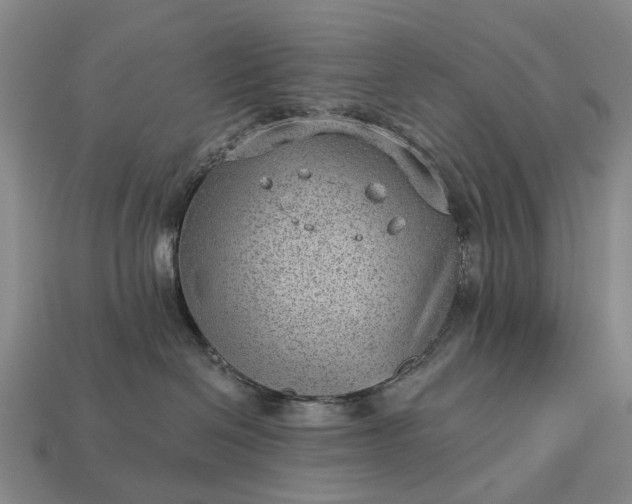 X0000112980286200909101721