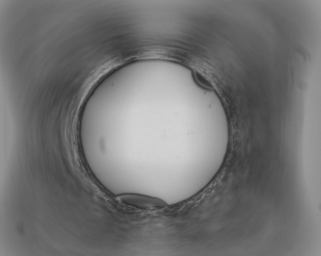 X0000112980289200909101720