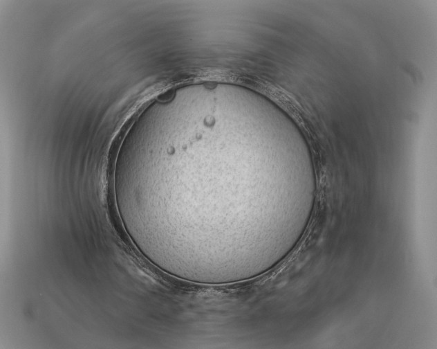 X0000112980290200909101720