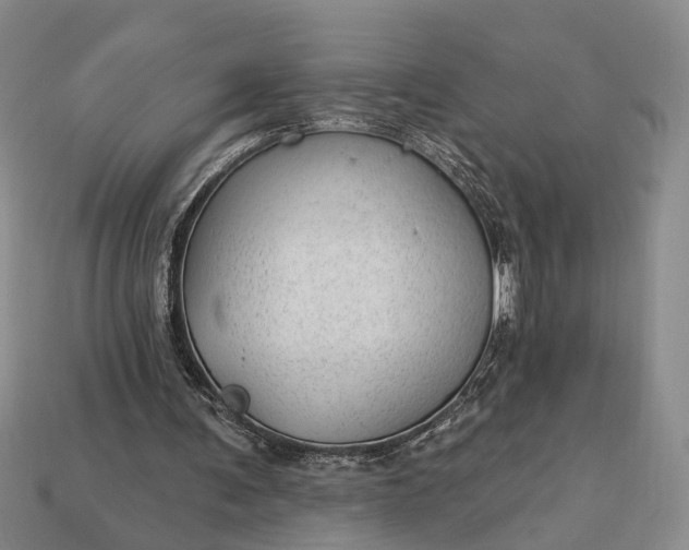 X0000112980291200909101720