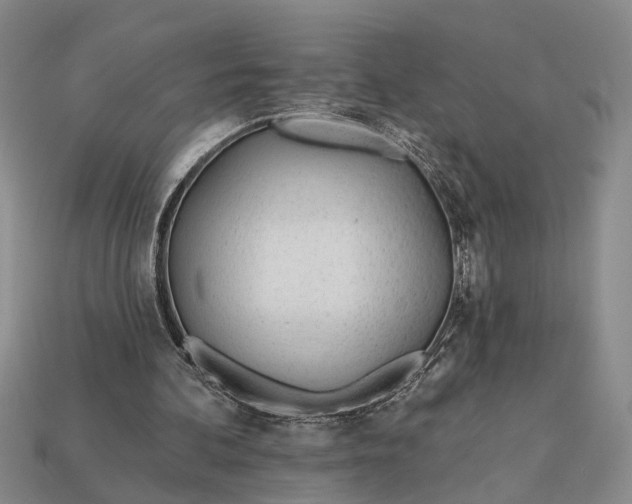 X0000112980292200909101720