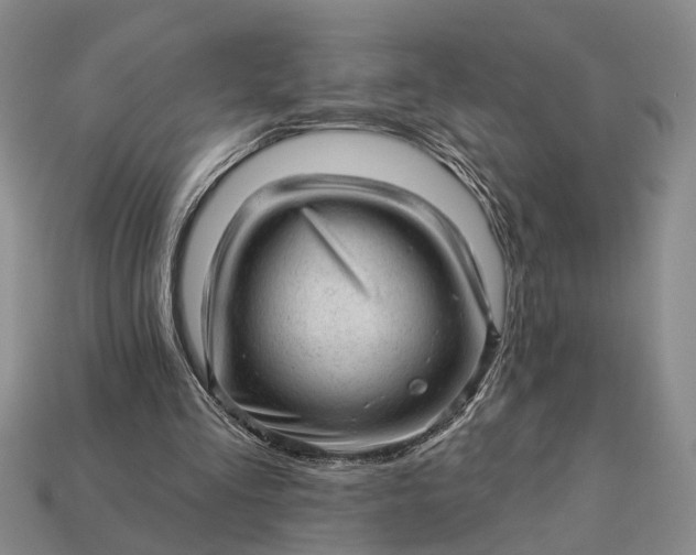 X0000112980293200909101720