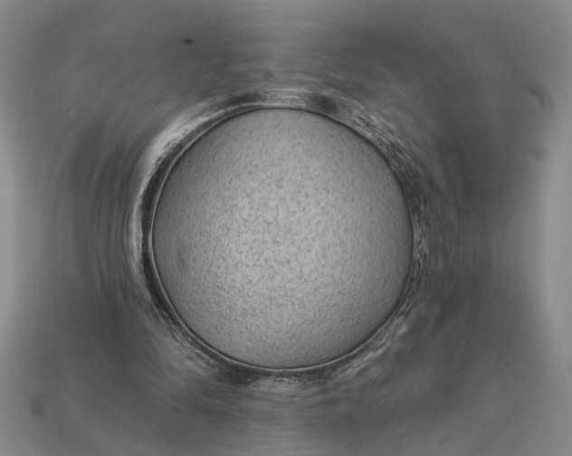 X0000112980294200909101720