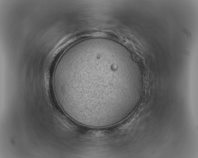 X0000112980295200909101720