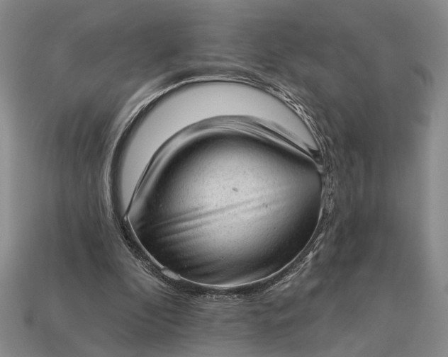 X0000112980296200909101720