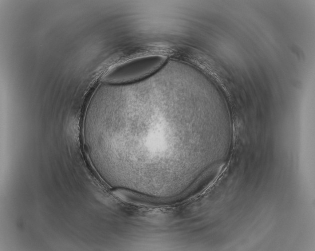 X0000112980297200909101720