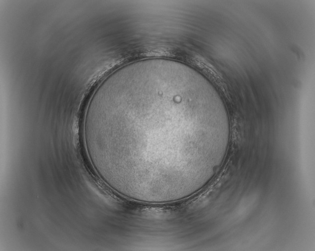 X0000112980298200909101720