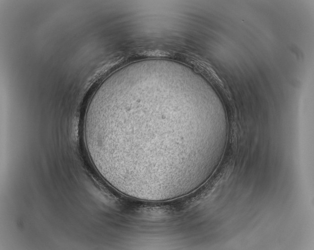 X0000112980299200909101720