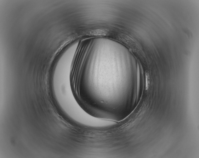 X0000112980300200909101720