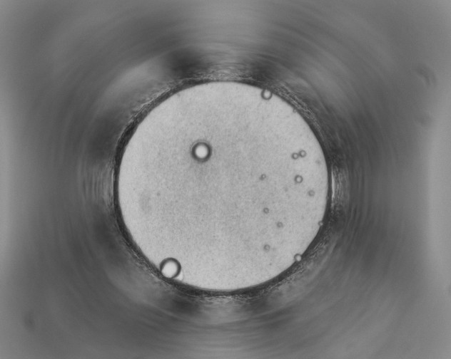 X0000112980301200909101720