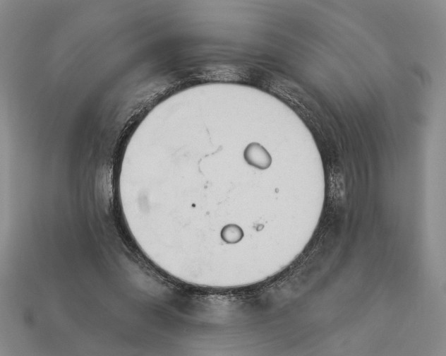 X0000112980302200909101720