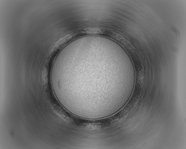 X0000112980303200909101720