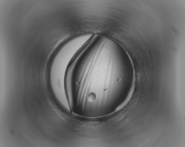 X0000112980304200909101720