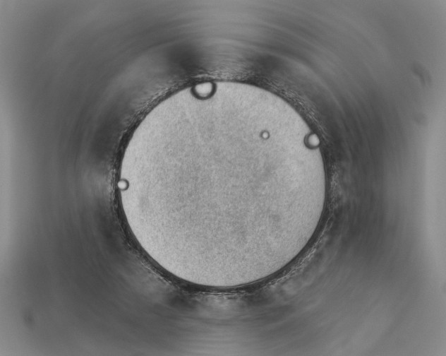 X0000112980305200909101720