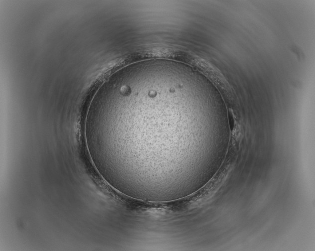 X0000112980306200909101720