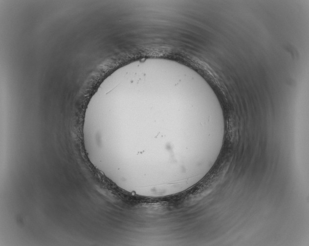 X0000112980307200909101720