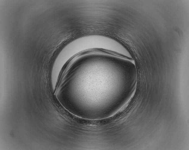 X0000112980308200909101720