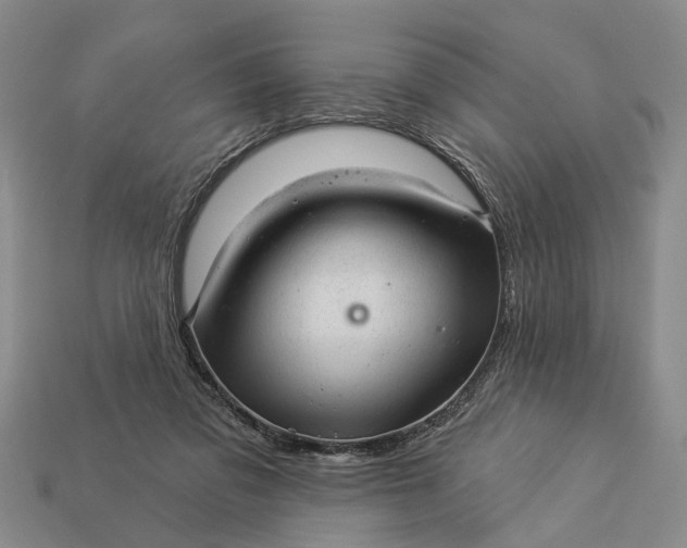 X0000112980309200909101720