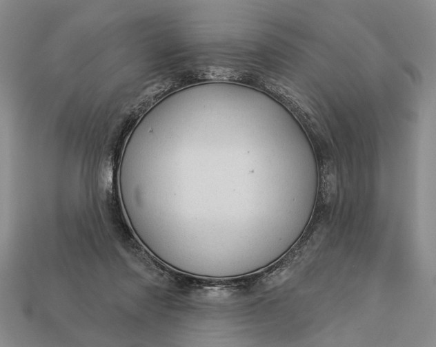 X0000112980310200909101720