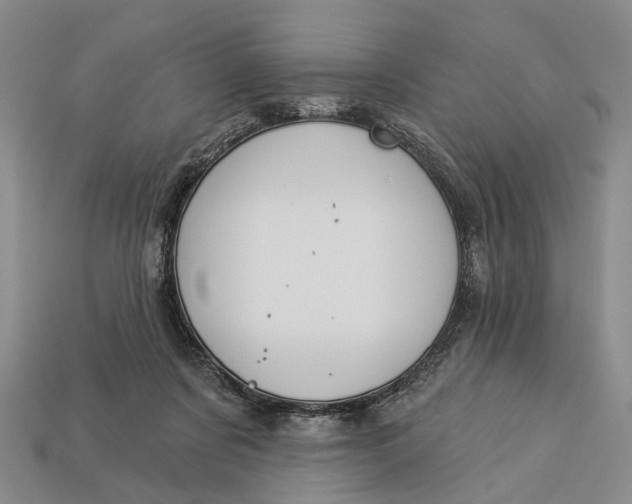 X0000112980311200909101720