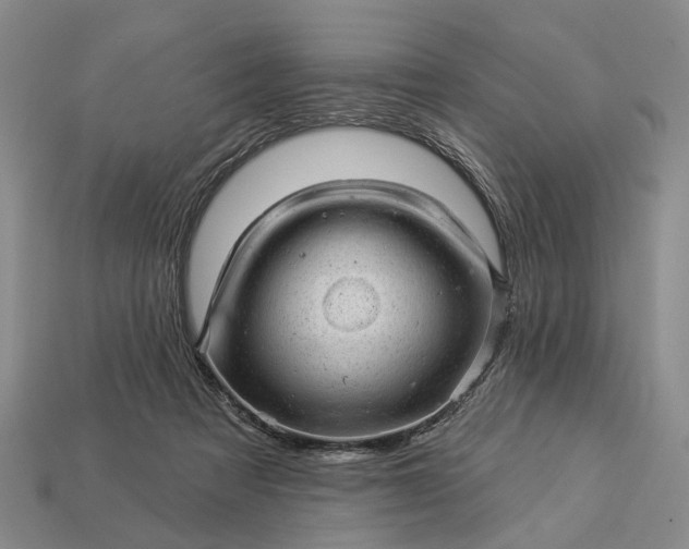 X0000112980313200909101720