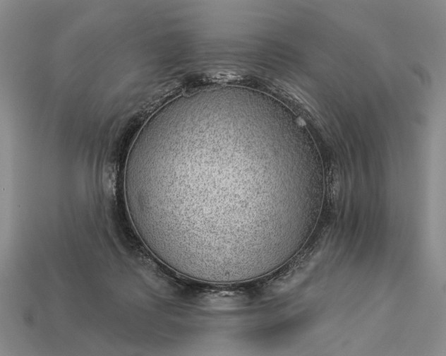 X0000112980315200909101720