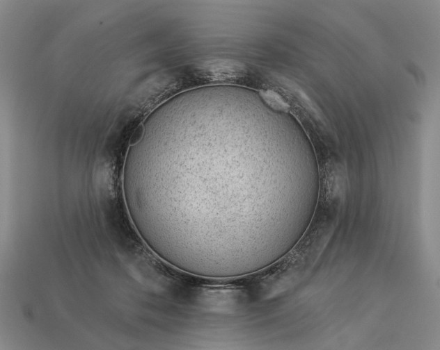 X0000112980316200909101720