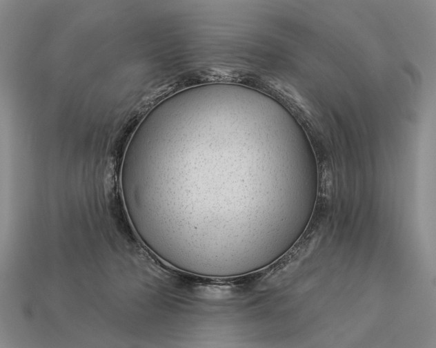 X0000112980318200909101720