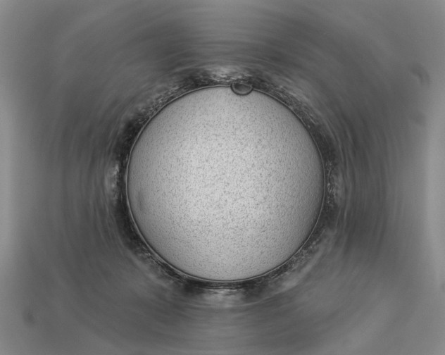 X0000112980319200909101720