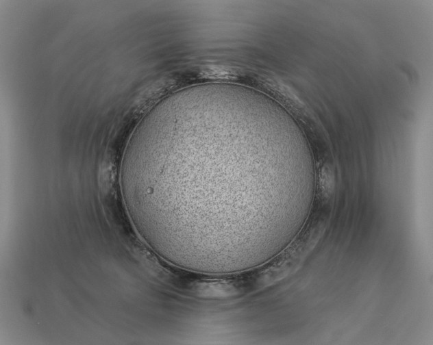 X0000112980322200909101720