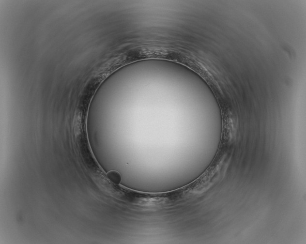 X0000112980323200909101720