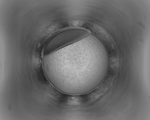 X0000112980324200909101720