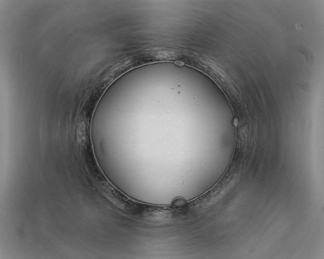 X0000112980325200909101720