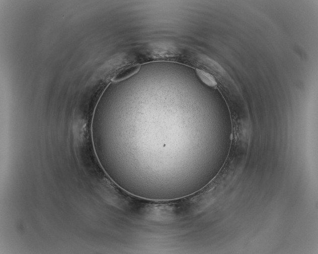 X0000112980327200909101720