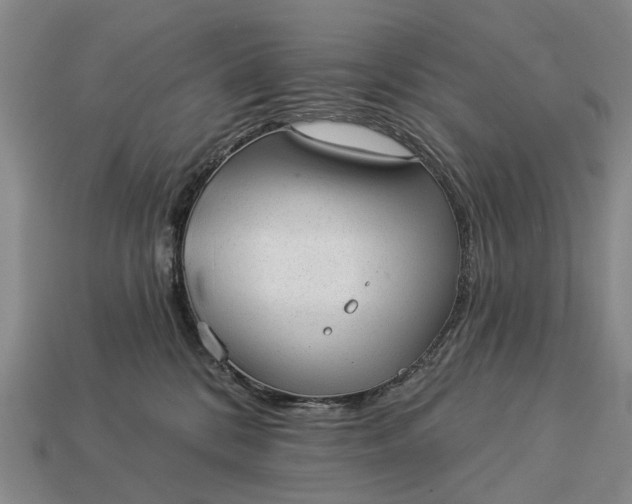 X0000112980328200909101720