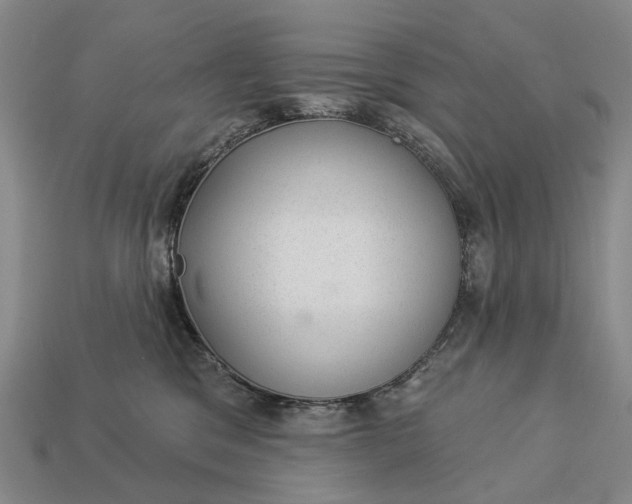 X0000112980329200909101720