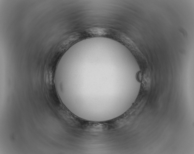 X0000112980330200909101720