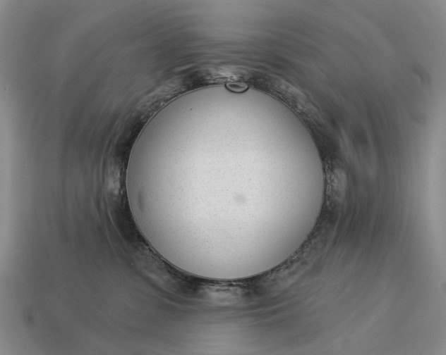 X0000112980331200909101719