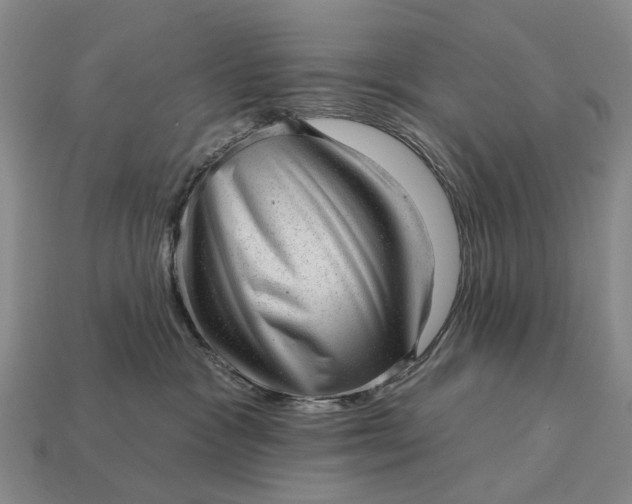 X0000112980333200909101719