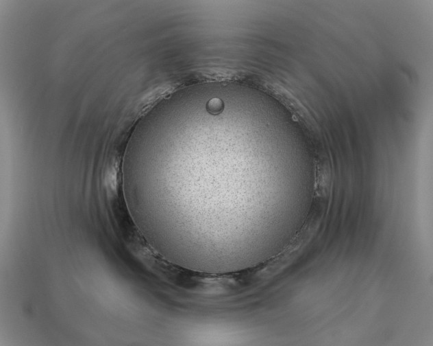 X0000112980334200909101719