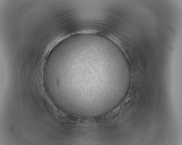 X0000112980337200909101719