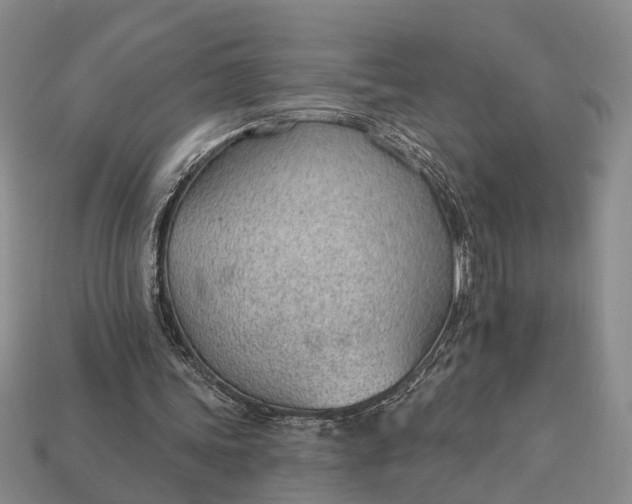 X0000112980339200909101719