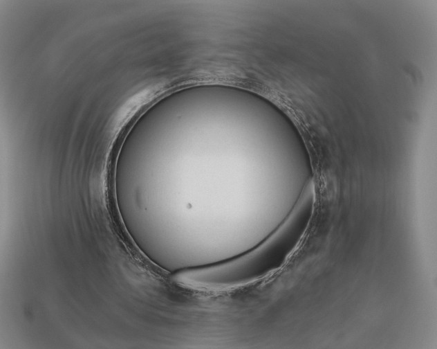 X0000112980340200909101719