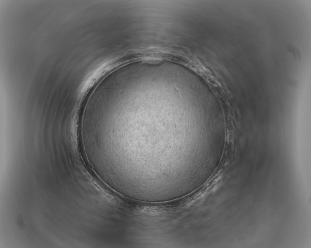 X0000112980341200909101719