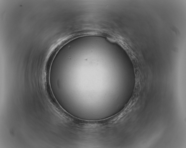 X0000112980342200909101719