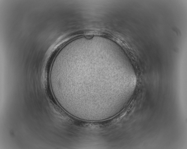 X0000112980343200909101719