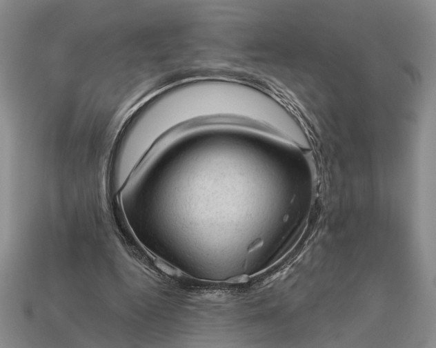 X0000112980344200909101719