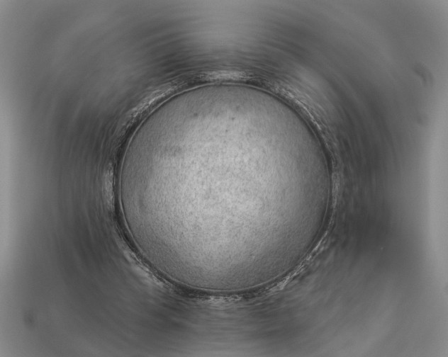 X0000112980345200909101719