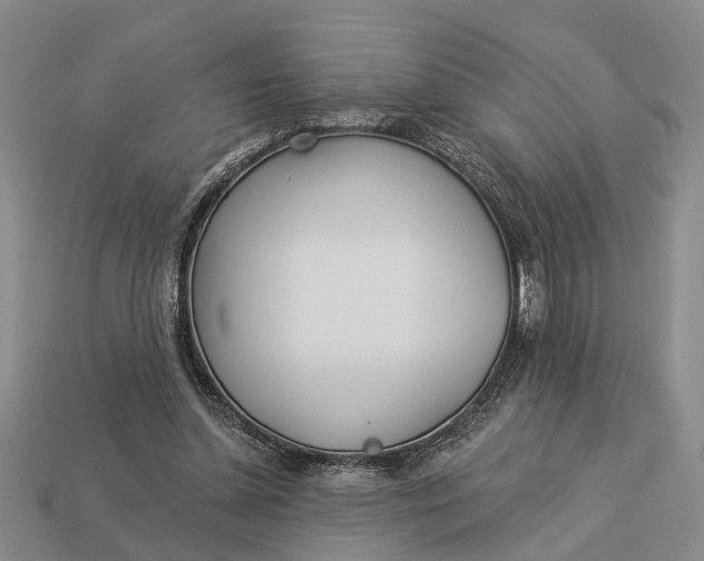 X0000112980348200909101719